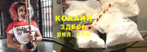 тгк Алексин