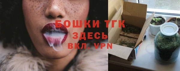 тгк Алексин