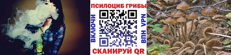 Галлюциногенные грибы Magic Shrooms  как найти   Копейск 